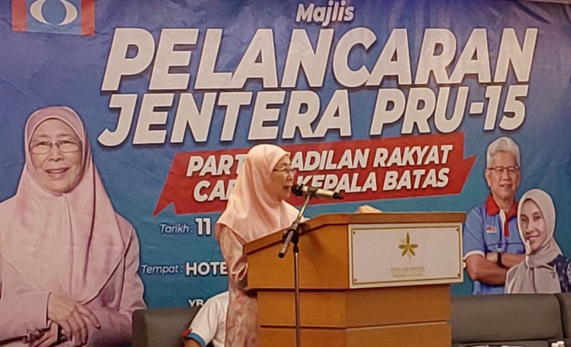 PKR needs committed members as reforms take time: Wan Azizah