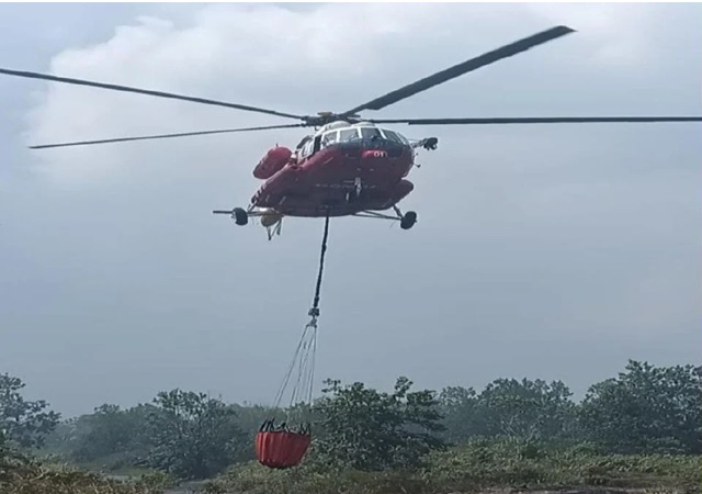 Forest and pineapple plantation fire spreads across 113 hectares in Pahang