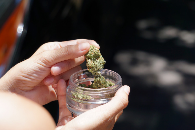 Medical marijuana still legal minefield for patients: lawyer
