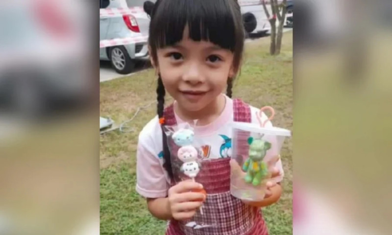 Missing girl Albertine Leo found in Batang Kali hotel 