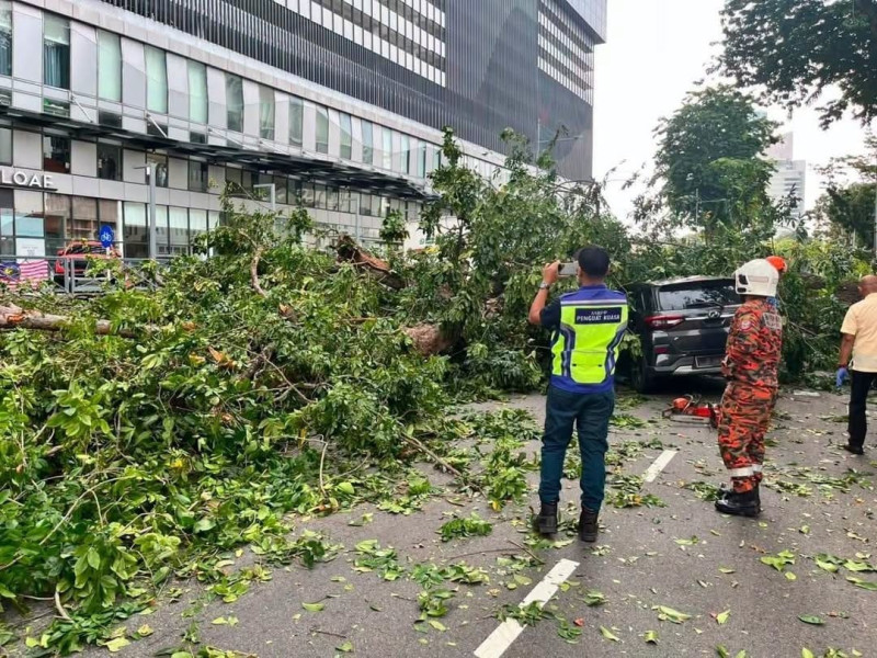 Trio escape with minor injuries after tree crashes on their car