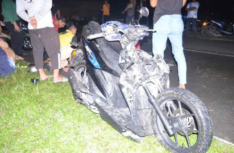 Young woman killed after motorcycle collides with stray buffalo in Terengganu