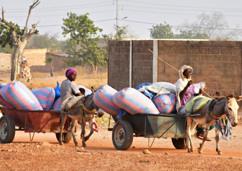 Search underway for 50 women abducted in Burkina Faso