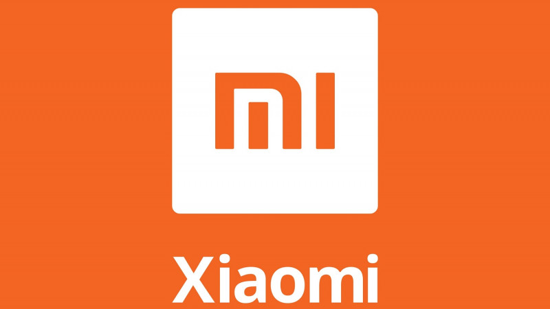 Xiaomi trade halted in HK by disclosure delay