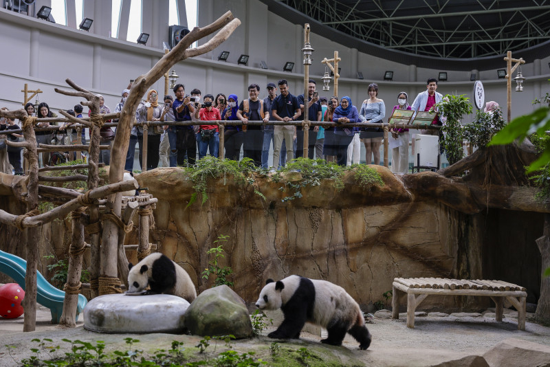 Zoo Negara surpasses this year’s 450,000-visitor target 