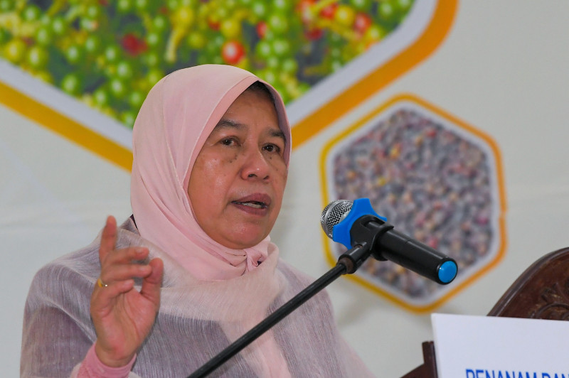 Coordinate bamboo industry management to boost its commercial potential: Zuraida