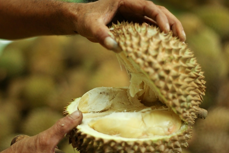 Fruity energy, spidery lenses: Nature-inspired solutions in 2020