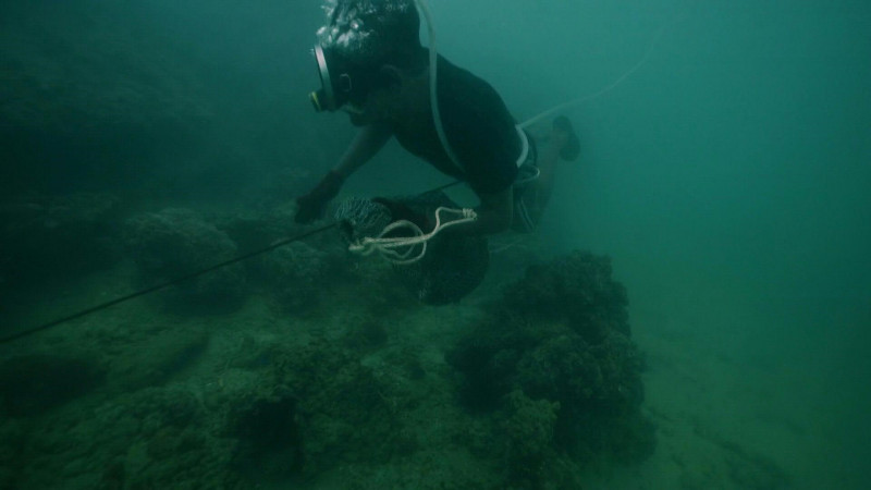 Pandemic respite for Thai 'sea gypsies' threatened by mass tourism