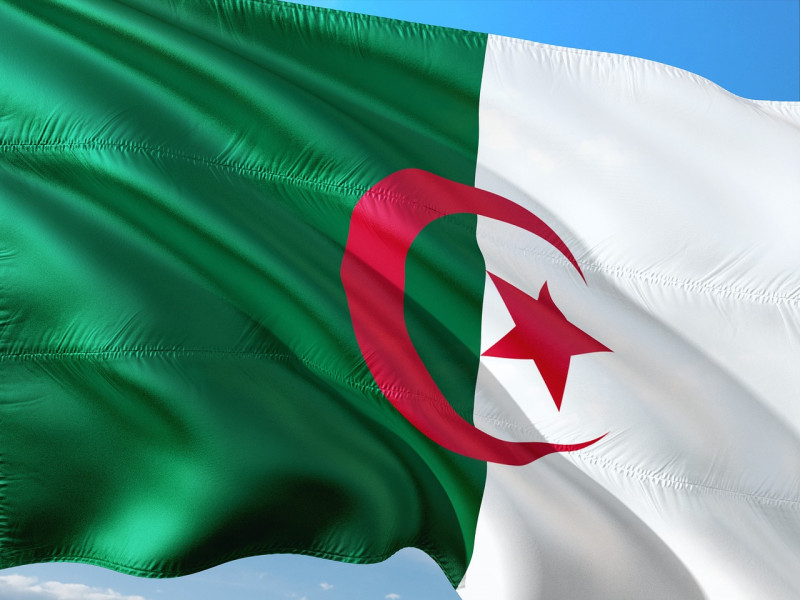Algerians approve constitutional reforms in vote with record-low turnout