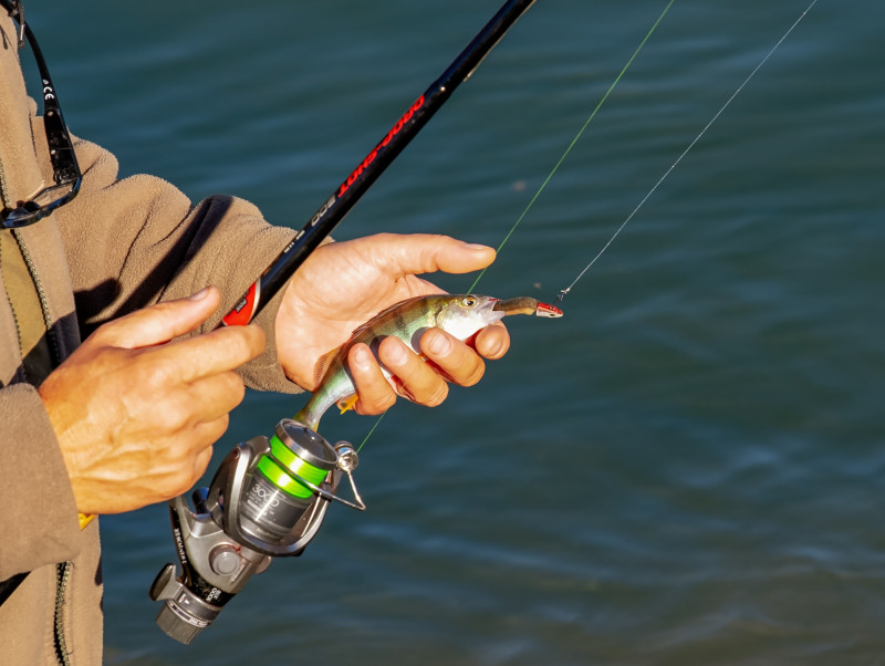 [UPDATED] Green light for gyms, golfing, driving and flying schools, fishing