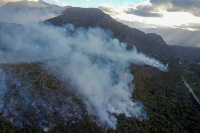 Wildfire ravages massive section of Argentine forest