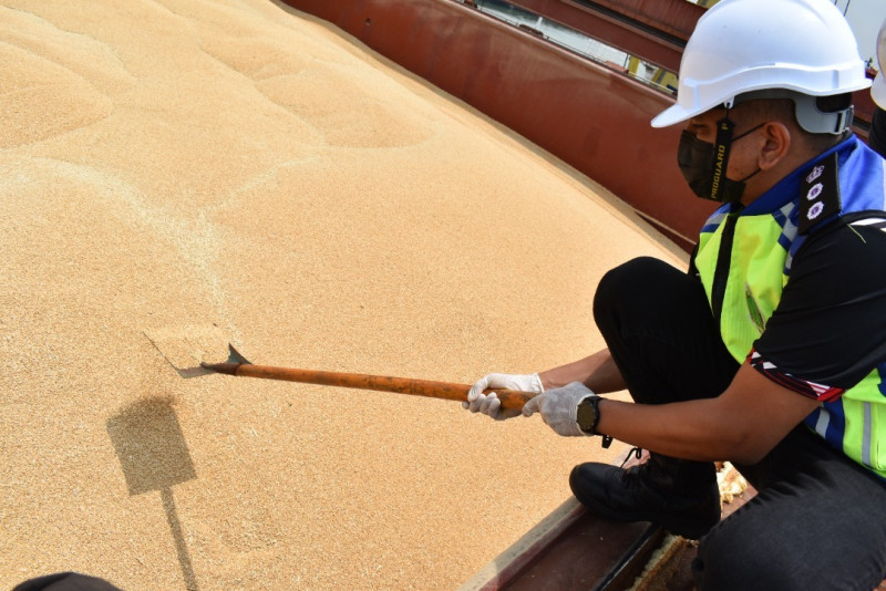 RM20 mil in Australian wheat seized by Penang Maqis
