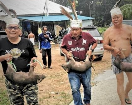 Native Sarawak party performs rituals to rid itself of bad streak 