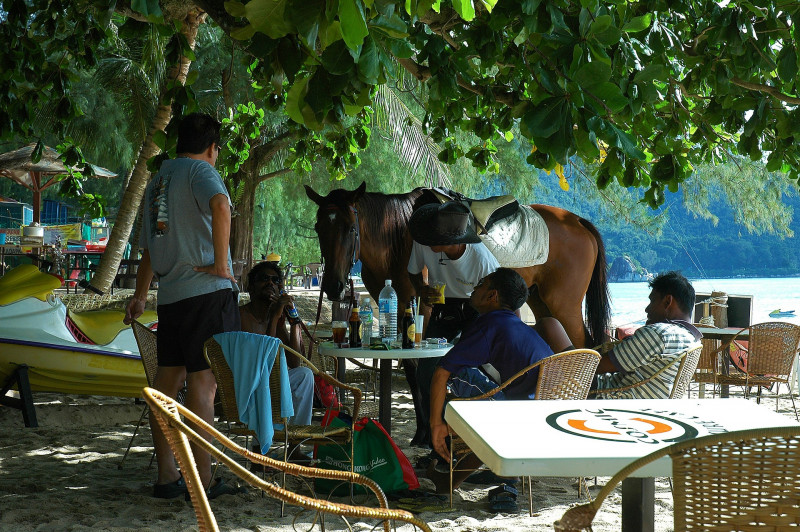 Tourism players down to all or nothing choice
