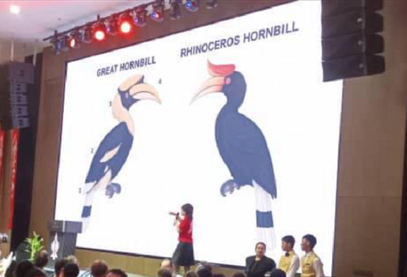 Oops…wrong hornbill species, claims DAP Sarawak