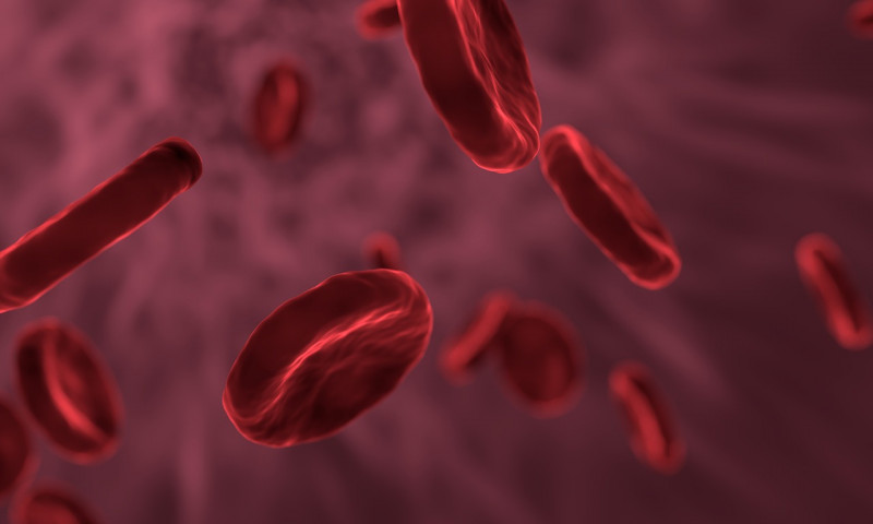 Sabah desperately needs 80,000 pints of blood