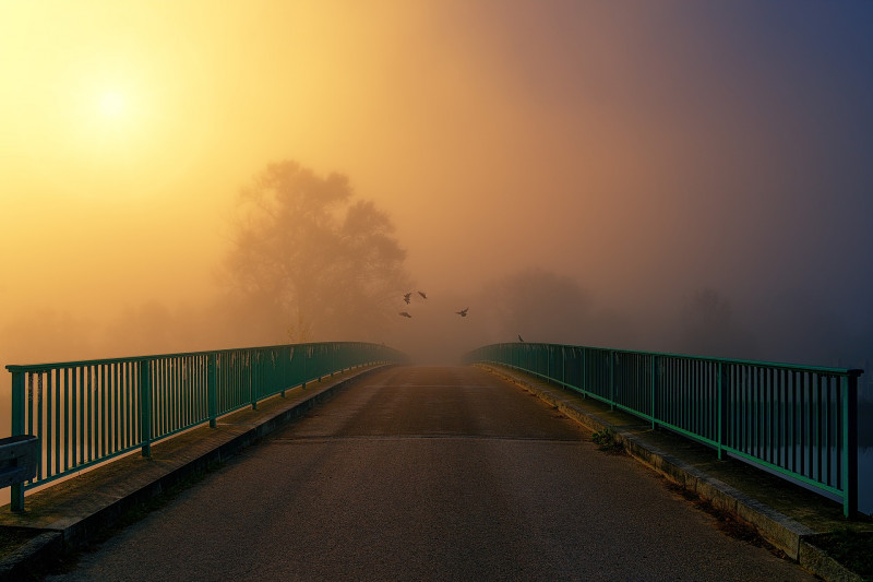 Make peace with your fears, phobias and anxiety