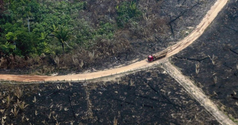 Brazil has near-record year for Amazon deforestation