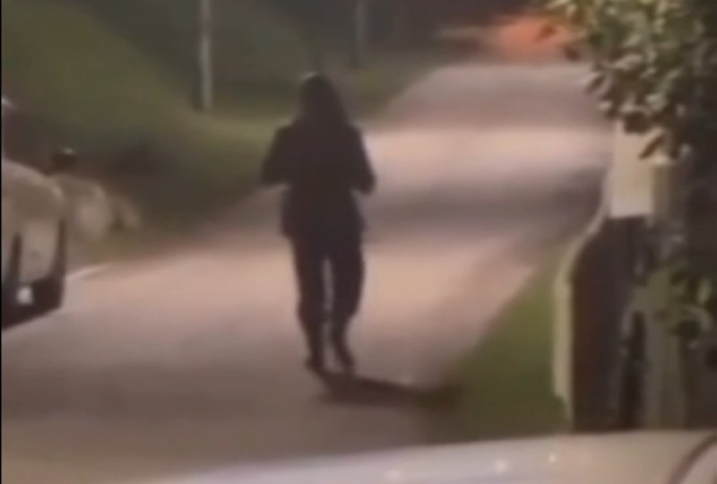 Mysterious man in uniform, with weapon in Taman Bukit Desa sparks concern (video)