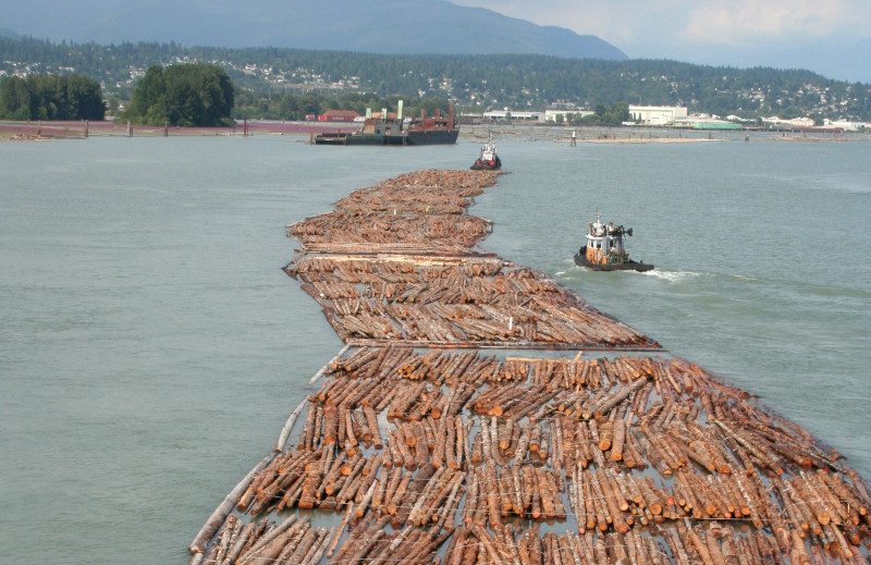 US appeals WTO ruling in lengthy Canada lumber dispute