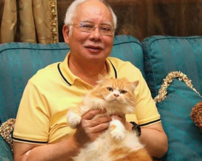 Najib mourns death of Kiky, his pet cat