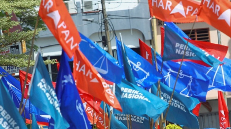Friends in Putrajaya, rivals in Johor: Election exposes new realities of coalition politics