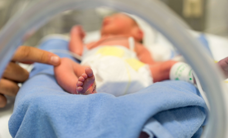 Foreign nationals birth registrations exceed 60,000 since 2000 with no guarantee of citizenship