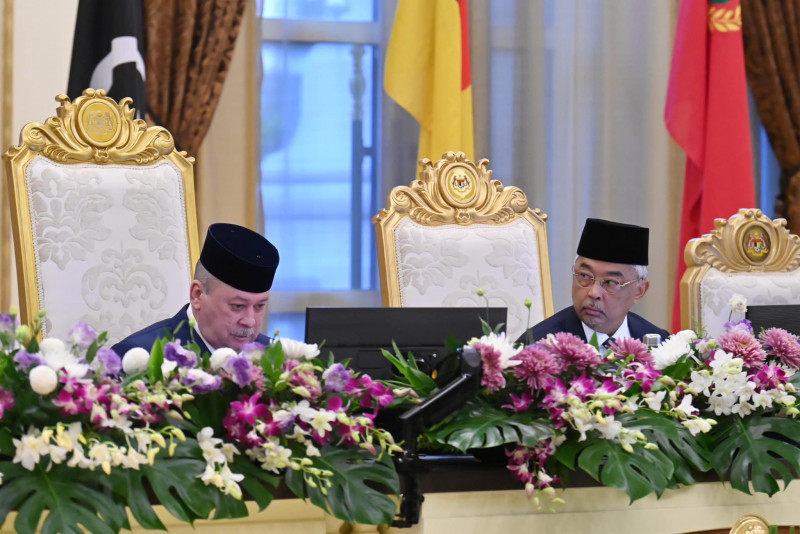 Al-Sultan Abdullah shouldered responsibility perfectly: Johor ruler