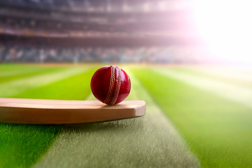 IPG Group to take local cricket scene to next level with Malaysian T20 league