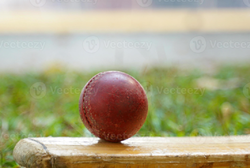 Malaysians Cricket Association postpones AGM, to resolve all internal matters first