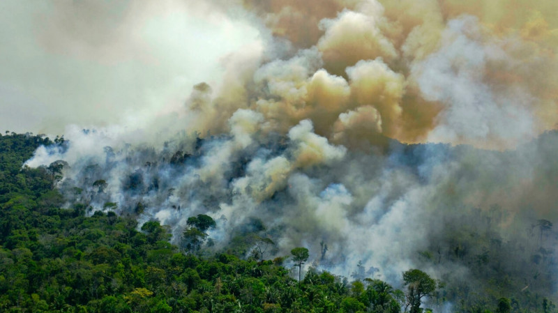 EU lawmakers adopt ban on imports speeding deforestation