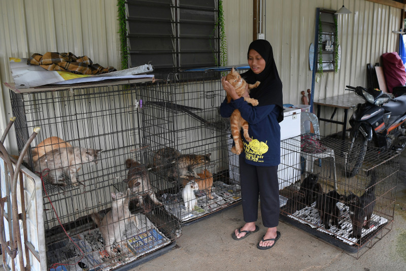 T’ganu woman evacuates flooded home with 5 disabled kids, 23 cats