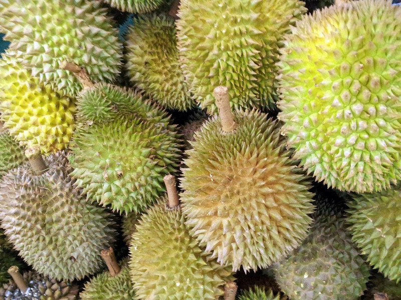 pesta durian 2017 malaysia