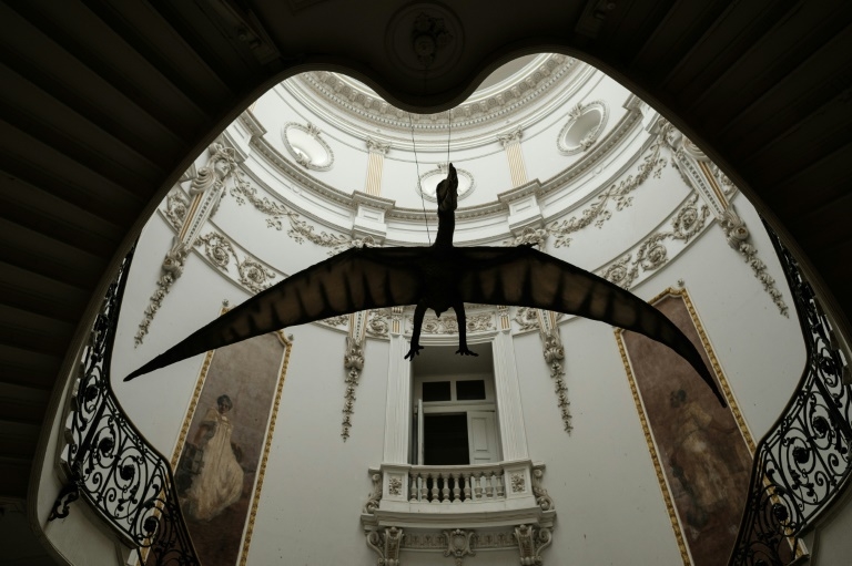 How the pterosaurs mastered the primeval skies
