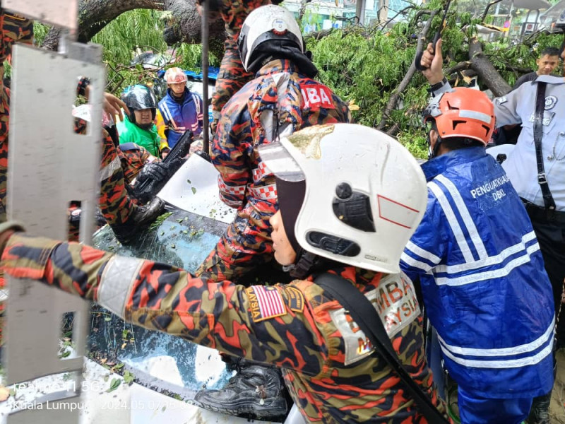 Uprooted tree inspected by arborists every 2 years, says Dr Zaliha