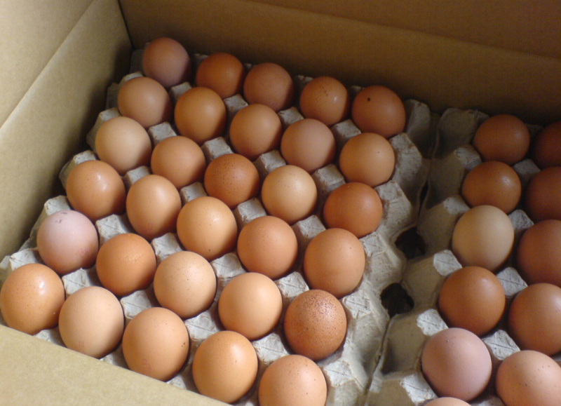 Price control, subsidies for eggs to be phased out