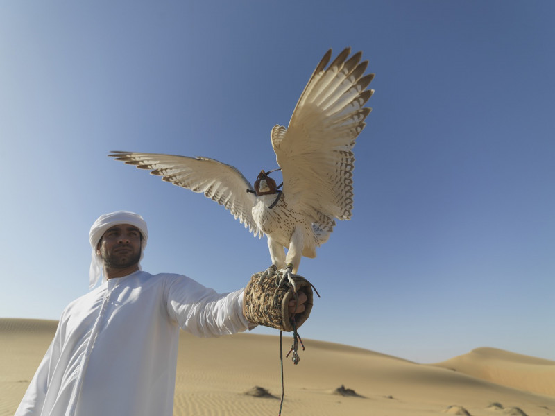 Pakistan foils bid to smuggle out falcons worth US$1 million