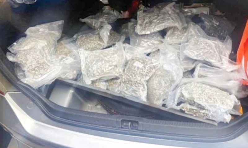 Cannabis haul seized in Thailand could fetch RM1.96m in Malaysia