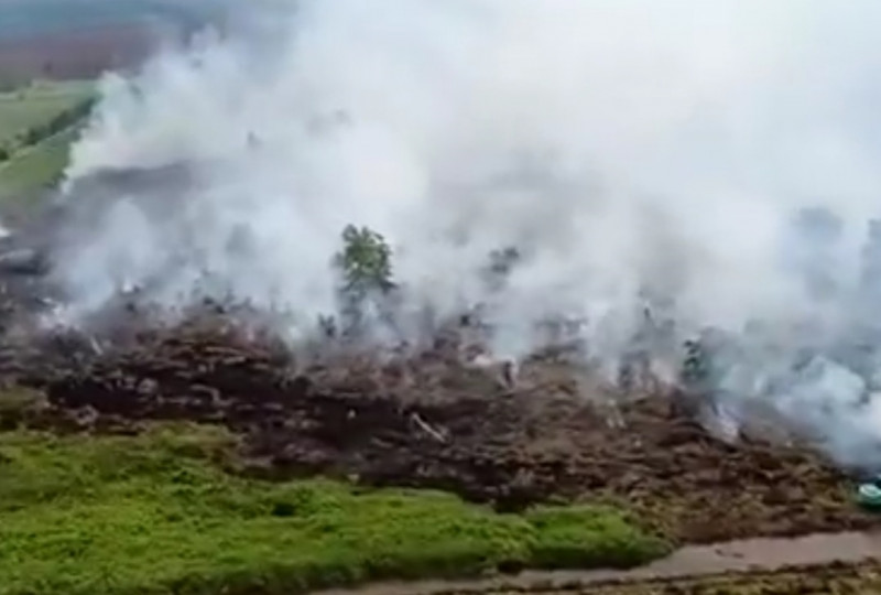 Forest fires at Sarawak-Brunei border the size of 220 football fields 