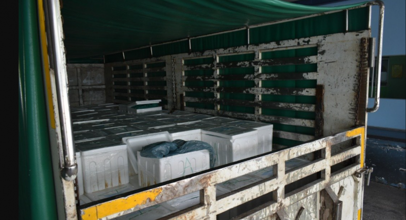 ‘Confusing’ permit leads to 1.4 tonne ‘con-fish-cation’