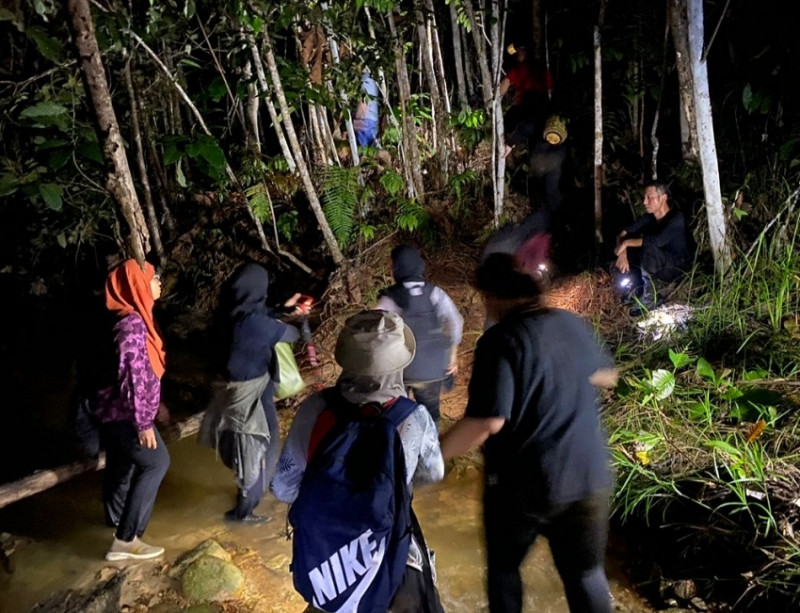 Seven women rescued after getting lost in jungle 