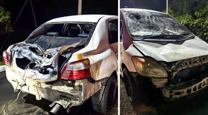 Three elephants attack car after driver behind begins honking