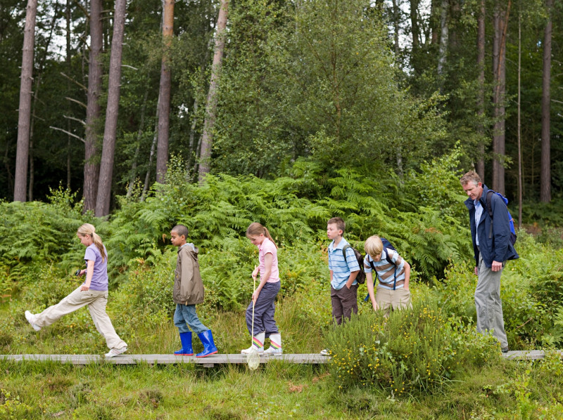 Forest schools: bringing learning outside