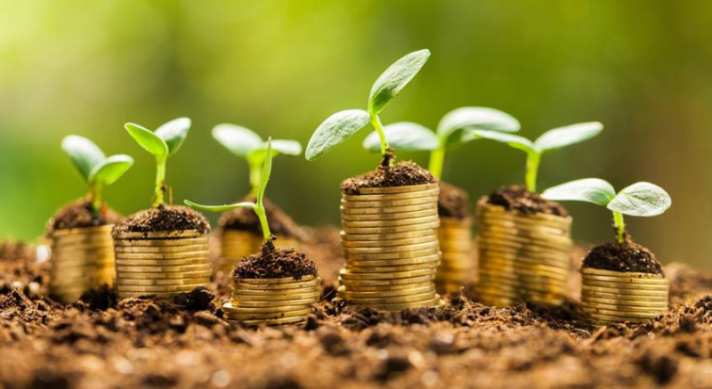 Islamic financial market poised to assist global decarbonisation via green sukuk