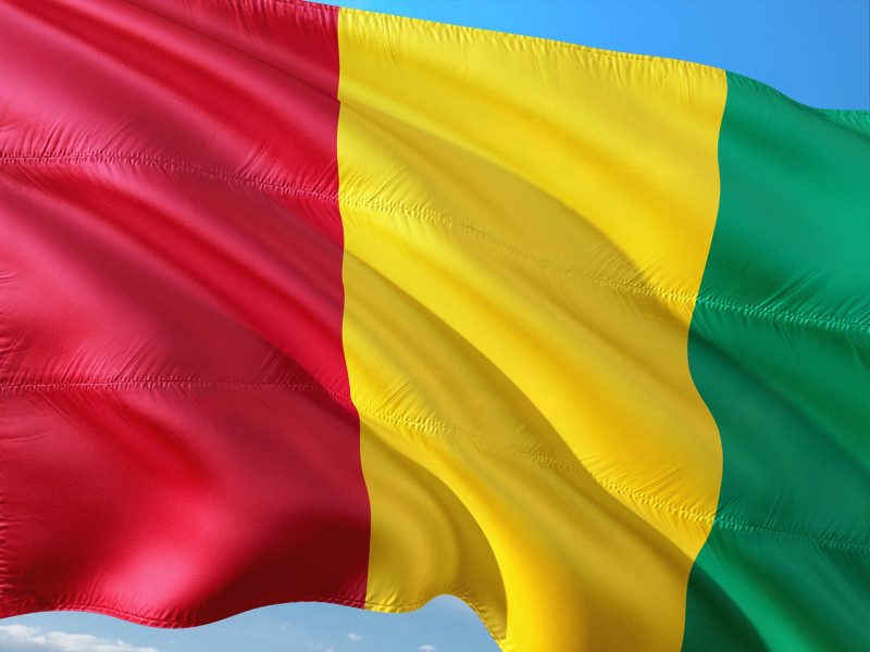 Guinea PM, cabinet quit