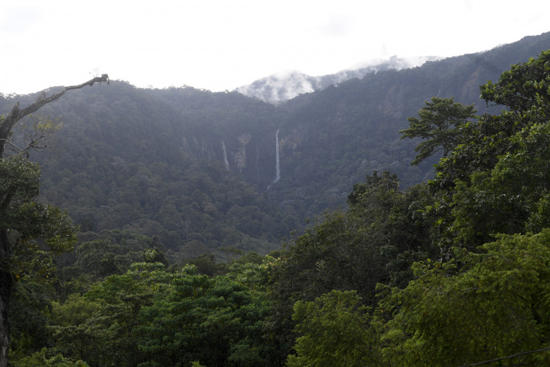 Rescuers evacuate 13 stranded Jerai Hill Resort staff