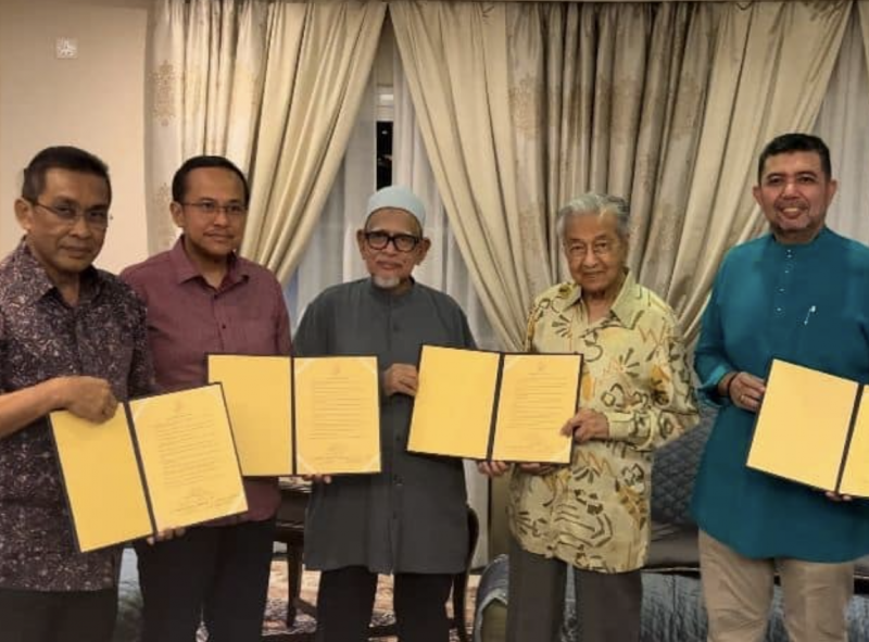 Meeting with Dr Mahathir to discuss Malay unity: Hadi