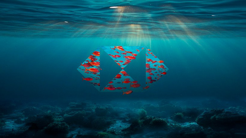 HSBC’s zero carbon plan attracts ‘greenwashing’ criticism