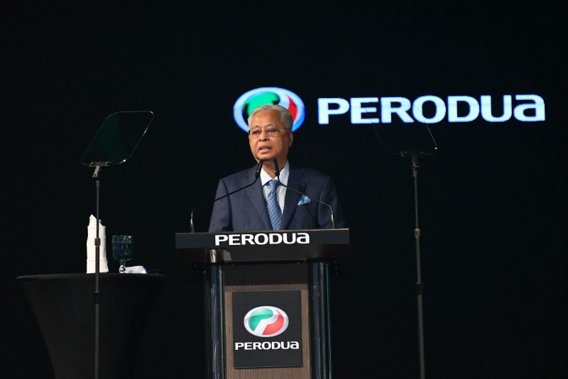 TNB, Perodua should cooperate to introduce affordable EV charging rates: PM
