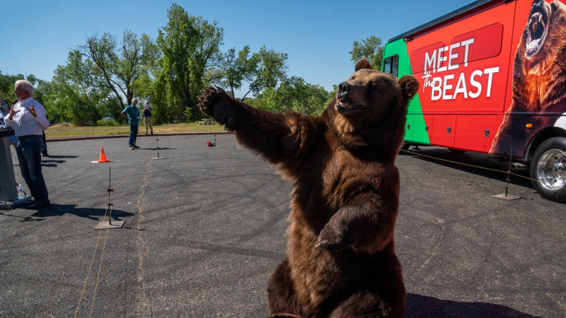 California governor candidate brings bear to rally